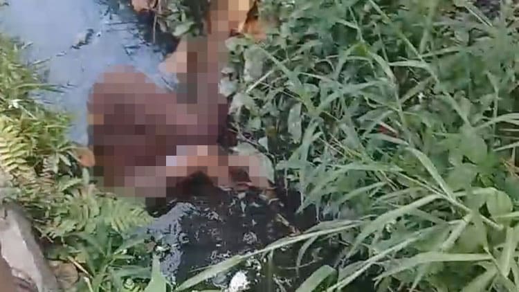 NMH Dibunuh Teman Ayahnya Hanya karena Menolak Dipeluk 2 Berita viral: bagaimana masyarakat bereaksi terhadap Identitas Mayat Perempuan di Selokan,mayat wanita di selokan kawasan Kubu Gadang,identitas wanita yang ditemukan dalam sekolah di Kubu Gadang?