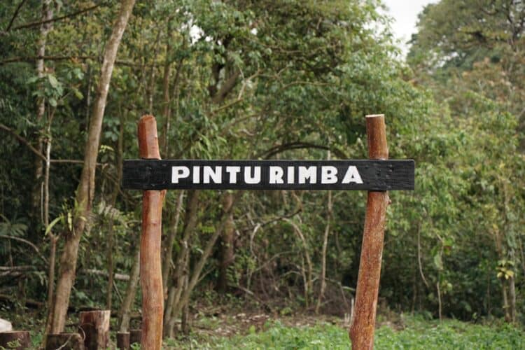 30 Jam Menembus Kerinci dari Solok Selatan, Kisah Petualangan 5 Hari Jalur Berhasil di Patahkan 2 Titik nol jalur pendakian Gunung Kerinci via Kabupaten Solok Selatan. Ardi/TimAs