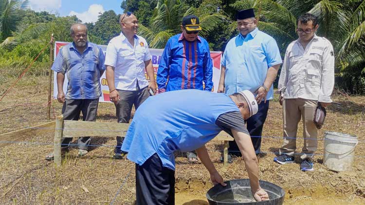 Ilustrasi tentang PKPS Kepulauan Mentawai yang menarik untuk dibahas.
