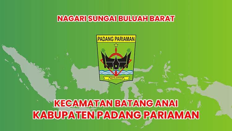 Gambar yang menggambarkan Profil Nagari Sungai Buluah Barat,Korong di Nagari Sungai Buluah Barat,Nagari Sungai Buluh Barat dengan lebih jelas.