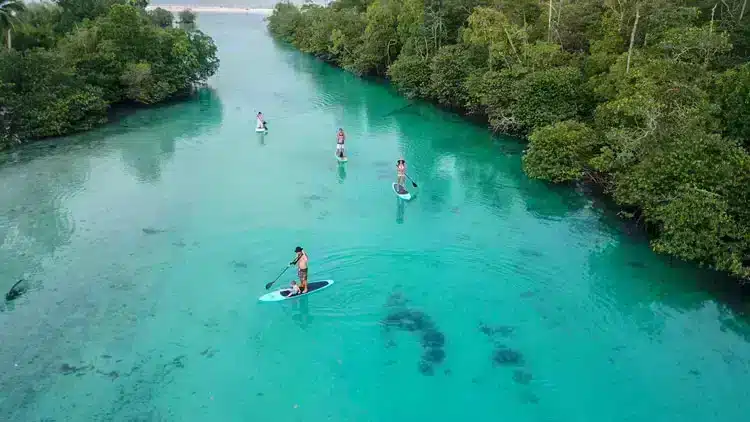 Berita aktual: apa yang terjadi dengan Aloita Resort hari ini?
