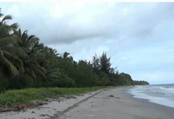 Berita visual: bagaimana Pantai desa matobe berdampak pada masyarakat luas?