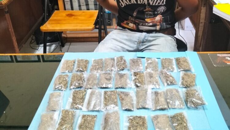 Gambar yang mengungkap sisi lain dari berita tentang 34 paket ganja kering,Polres Solok Selatan.