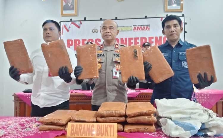 Potret unik dari perkembangan terbaru tentang 16 Paket Besar Ganja,Satresnarkoba Polres Padang Pariaman,Paket ganja.