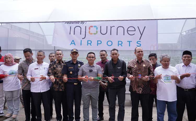 Visualisasi yang merangkum perkembangan signifikan dalam kasus Green House Nyarai.