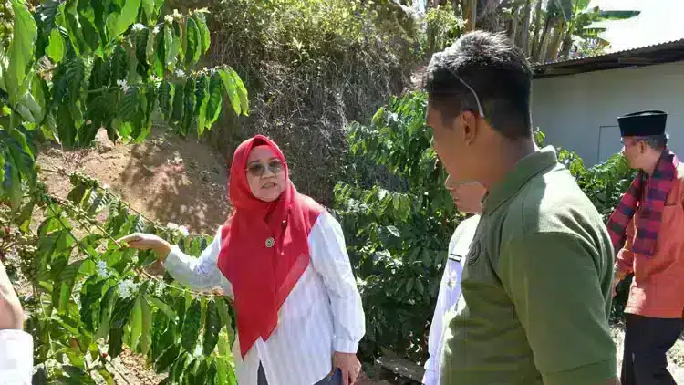 Potret mendalam dari peristiwa yang menjadikan Kopi Bundo Pagadih berita besar.