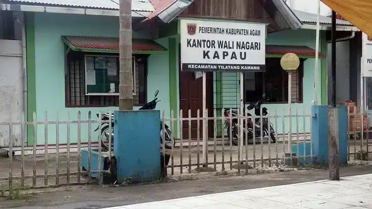 Ilustrasi interaktif yang memberikan perspektif baru tentang Profil Nagari Kapau,jorong di Nagari Kapau,Jumlah penduduk Nagari Kapau.
