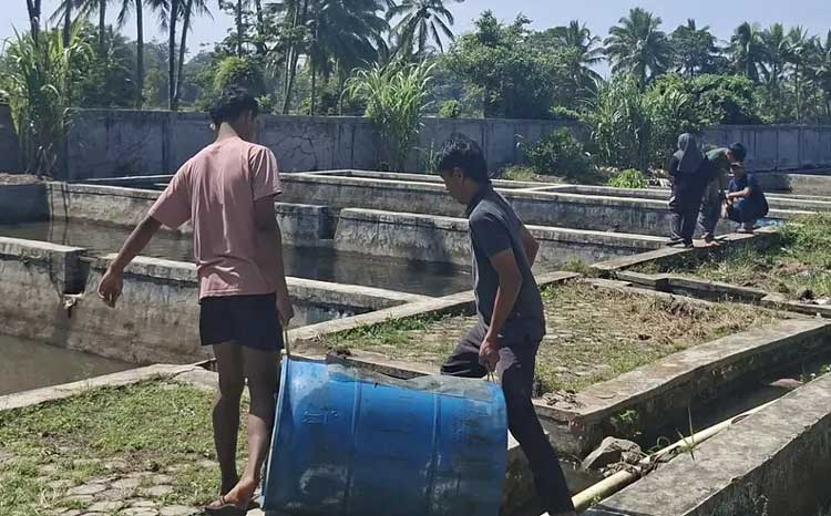 Liputan mendalam: bagaimana Bantuan induk ikan,benih ikan unggul,Balai Perikanan Budidaya Air Tawar mempengaruhi sektor tertentu?