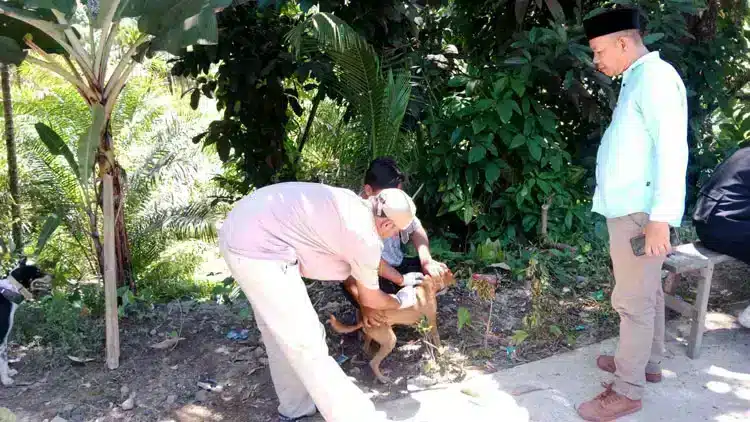 Foto dokumentasi dari peristiwa besar yang melibatkan Rabies di Padang Pariaman,Kasus Gigitan Anjing di Padang Pariaman.