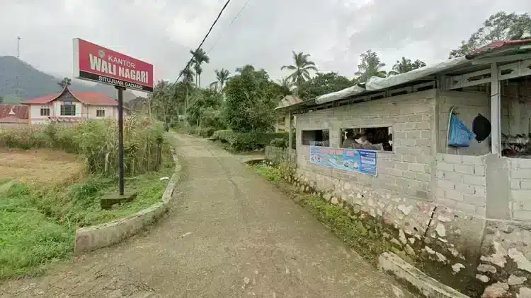 Gambar jurnalistik yang memberikan wawasan mendalam tentang Profil Nagari Situjuah Gadang,Jumlah penduduk Nagari Situjuah Gadang,jorong di Nagari Situjuah Gadang.