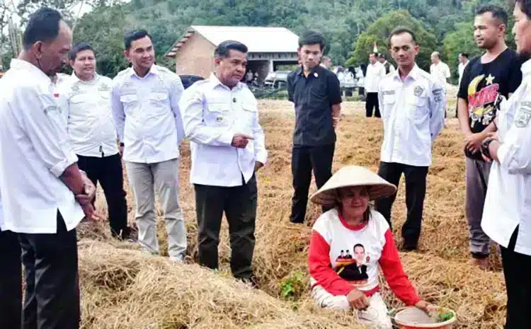Infografis yang memberikan ringkasan fakta utama tentang Bupati Agam Kunjungi Palupuah,Camat Palupuah,nagari di Palupuah.