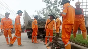 Ilustrasi berita yang memperjelas isu Taman di Jalan Raya Indarung.