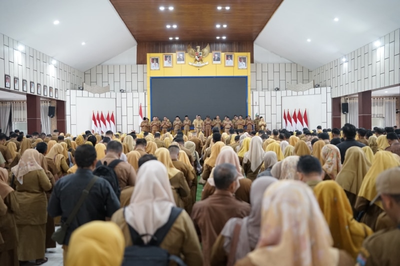 Ilustrasi yang menyajikan fakta terkait Pilwana Serentak 2026.