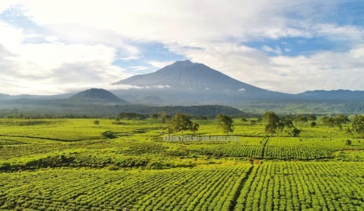 Potret situasi aktual terkait perkembangan Kerinci.