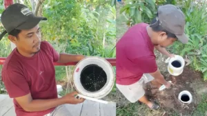 Potret langsung dari kejadian yang melibatkan Solar Biodigester.